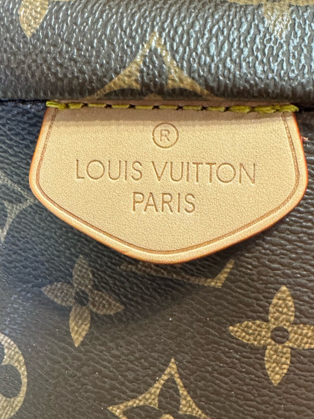 Louis Vuitton Monogram Mini Belt Bag in Brown with Tan Accent - Picture 2 of 9